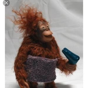 Meet your Posher, Carmen